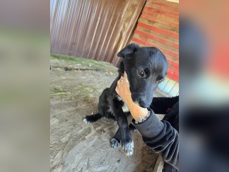 Ronya - süßer Schatz