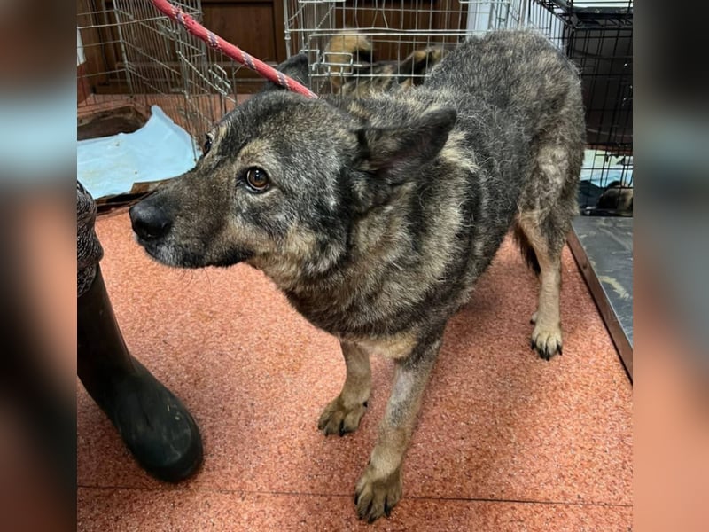 Emilio musste so viel Leid ertragen