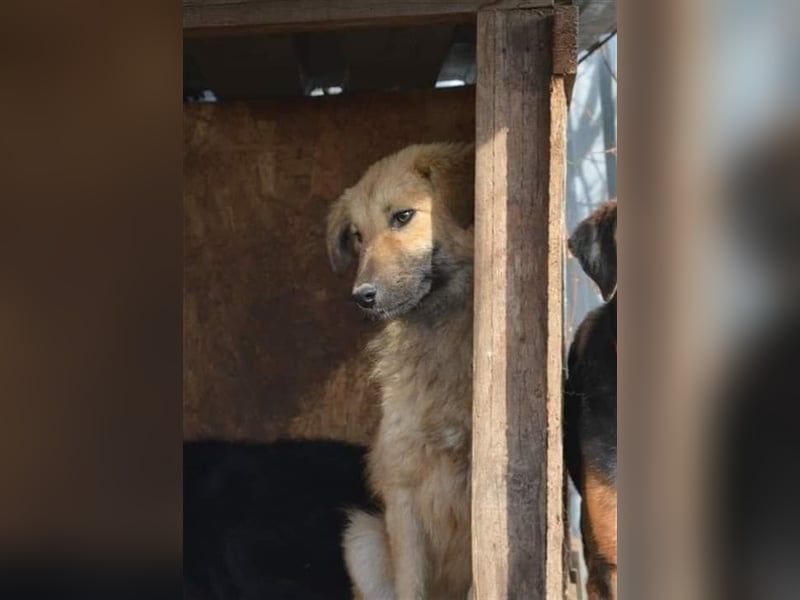 Luna - kennt nur das Leben auf wenigen Quadratmetern