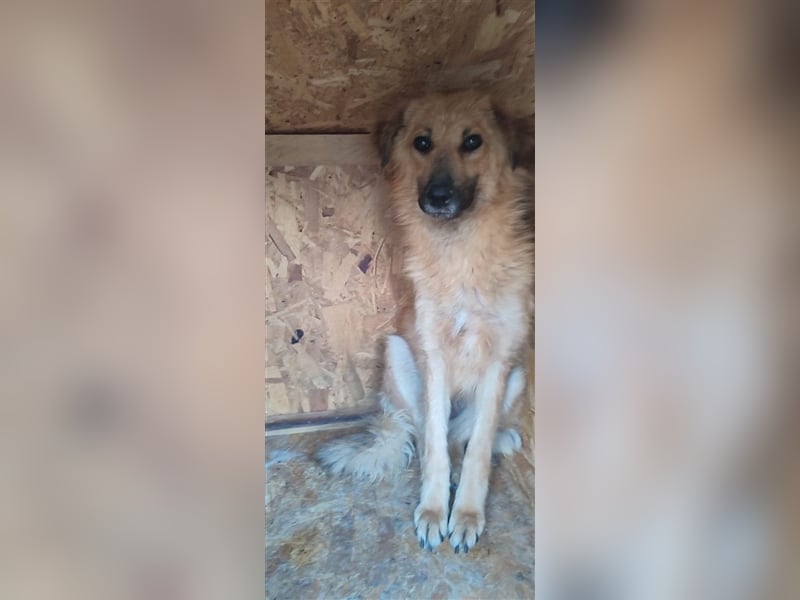 Luna - kennt nur das Leben auf wenigen Quadratmetern