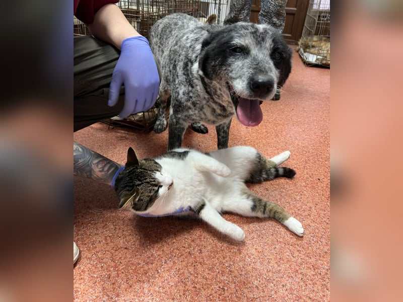 Kora - herzallerliebst❤️