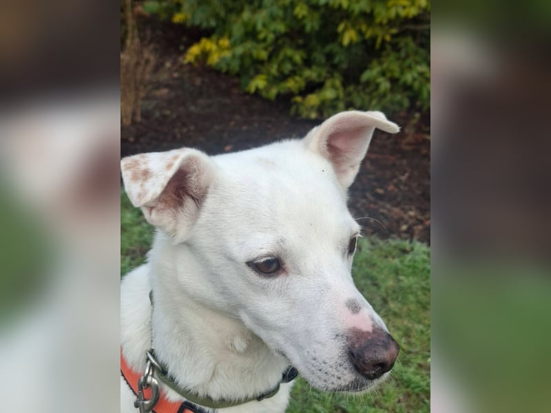 Frieda - fröhlich und unkompliziert