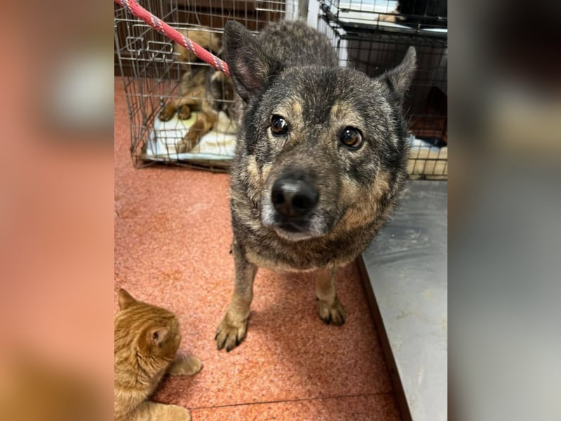 Emilio musste so viel Leid ertragen