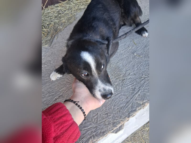 Maylo - sooo hübsch❤️