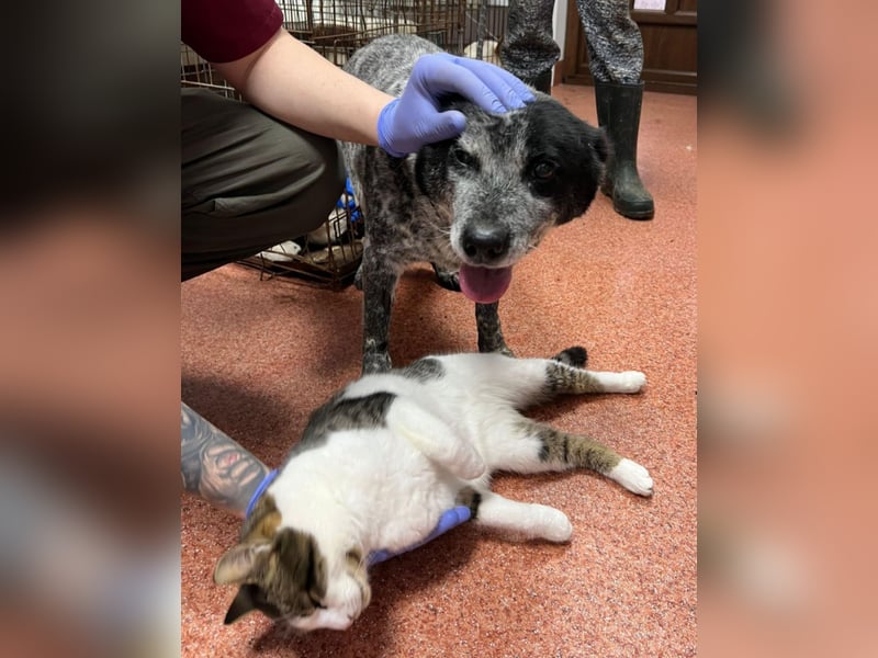 Kora - herzallerliebst❤️