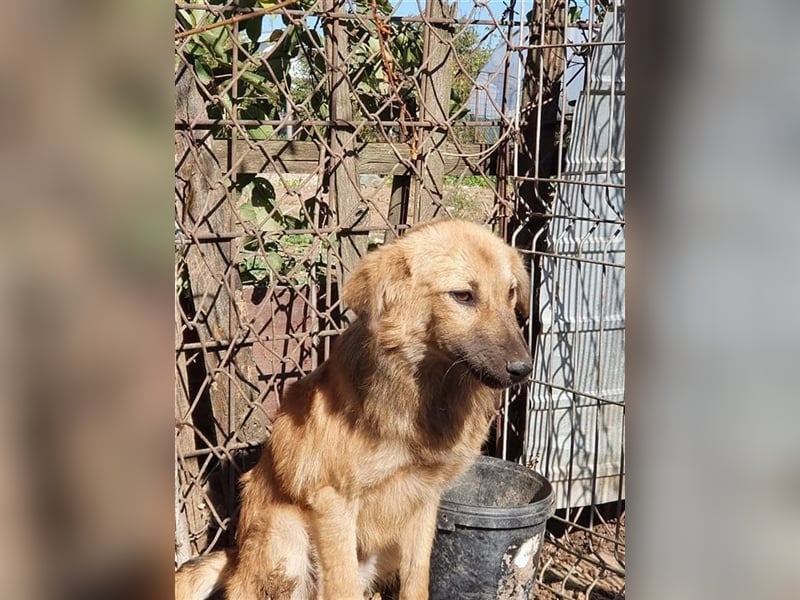 Luna - kennt nur das Leben auf wenigen Quadratmetern