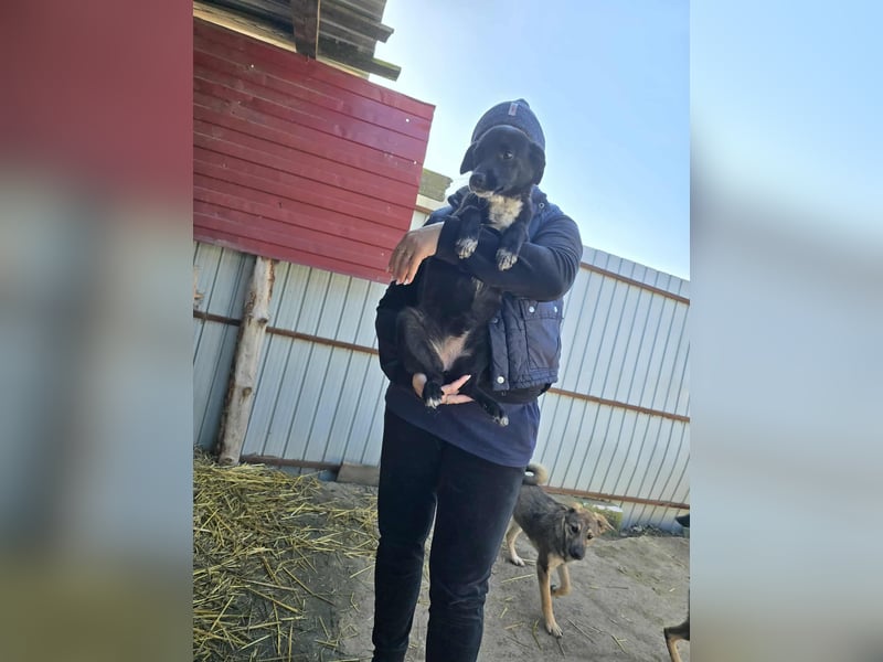 Ronya - süßer Schatz