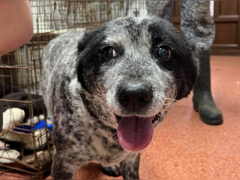 Kora - herzallerliebst❤️