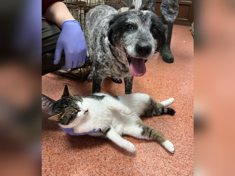 Kora - herzallerliebst❤️