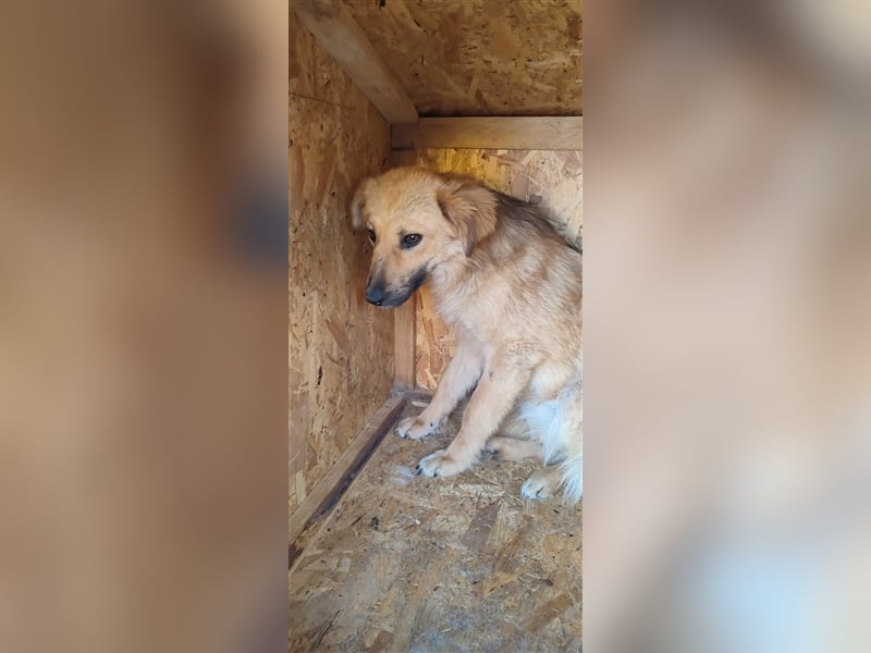 Luna - kennt nur das Leben auf wenigen Quadratmetern