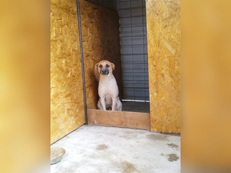 Anouk - fehlt noch ein bisschen Mut