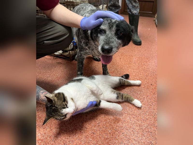 Kora - herzallerliebst❤️