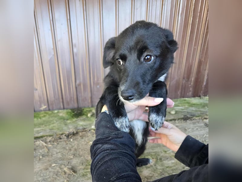 Ronya - süßer Schatz