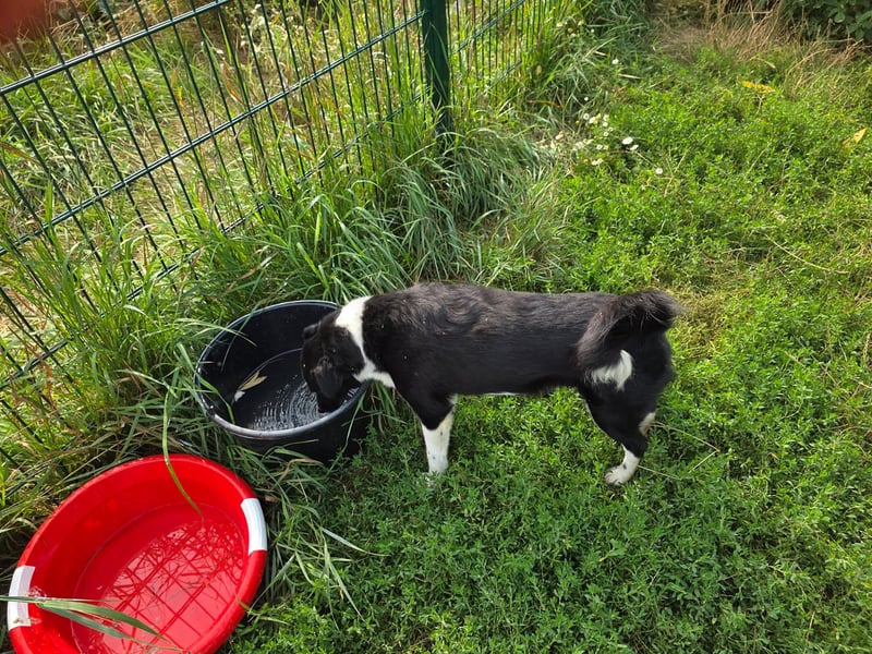 Lola - unternehmungslustig