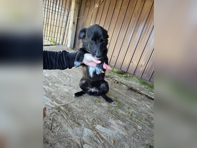 Ronya - süßer Schatz