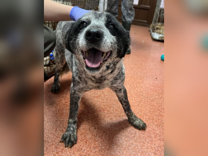 Kora - herzallerliebst❤️