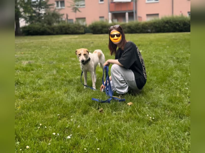 Luna PLZ 67061