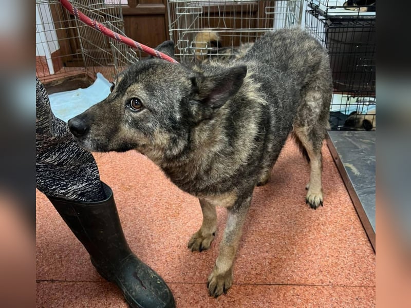 Emilio musste so viel Leid ertragen