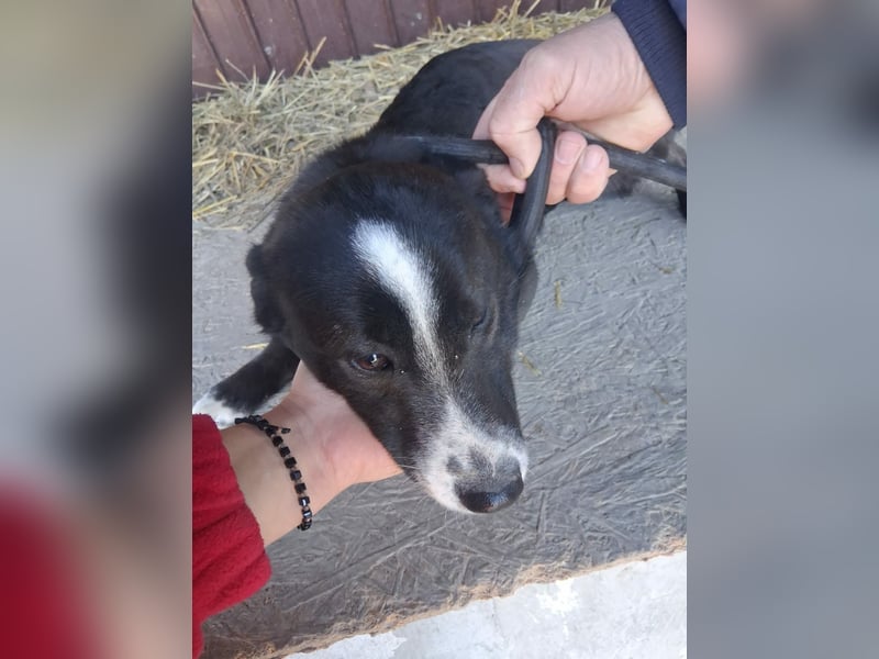 Maylo - sooo hübsch❤️