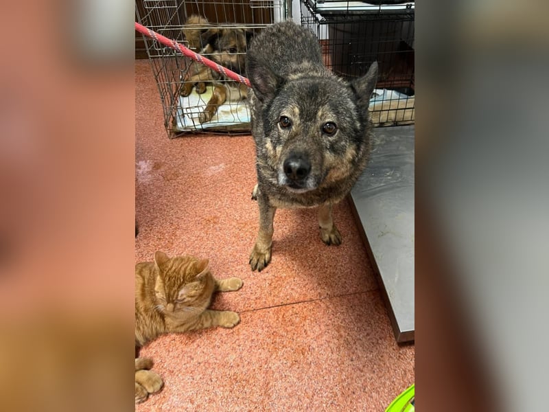 Emilio musste so viel Leid ertragen