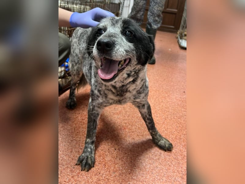 Kora - herzallerliebst❤️