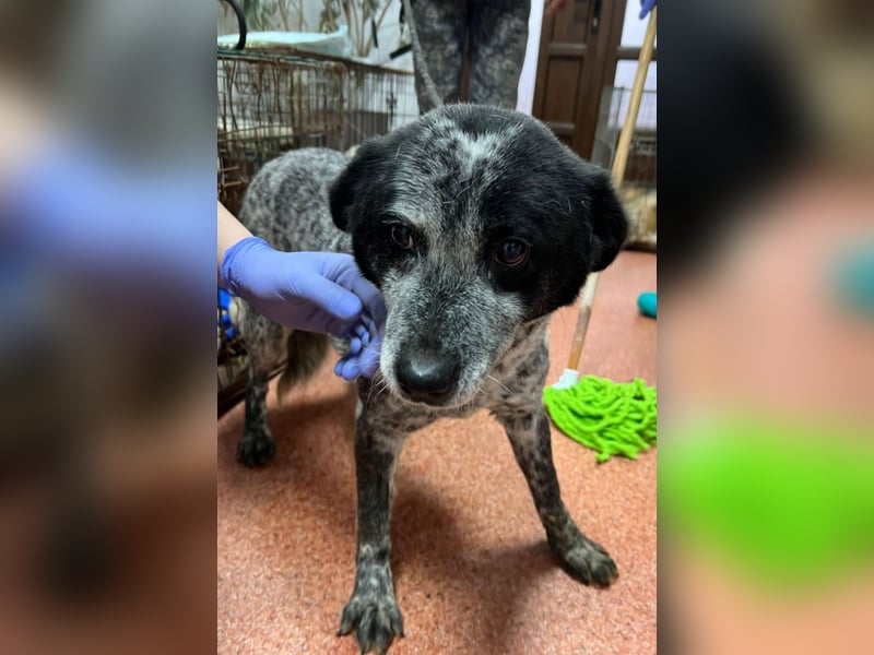 Kora - herzallerliebst❤️