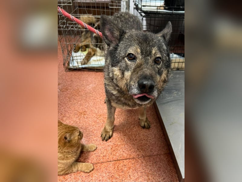 Emilio musste so viel Leid ertragen