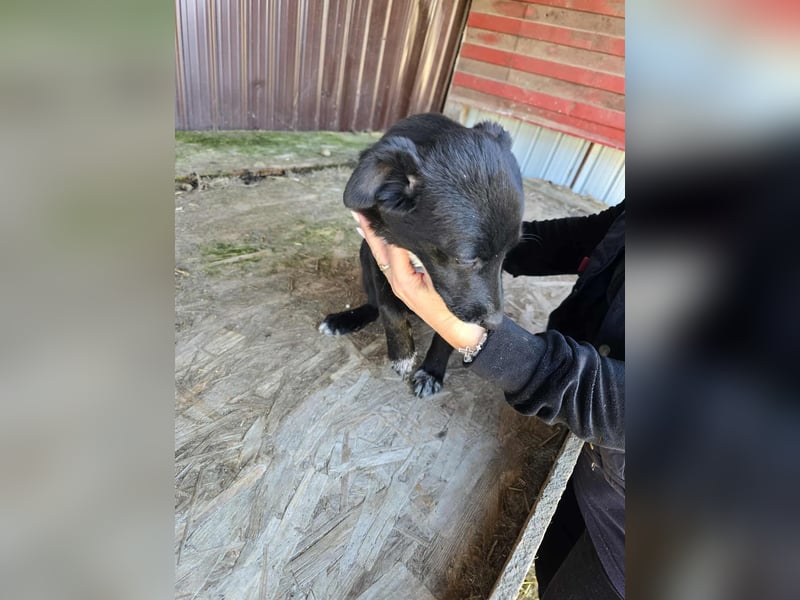 Ronya - süßer Schatz