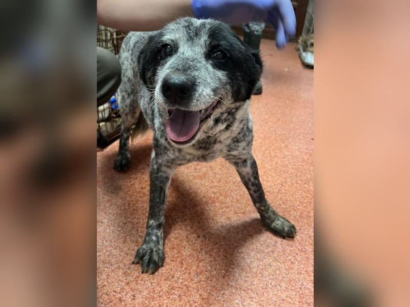 Kora - herzallerliebst❤️