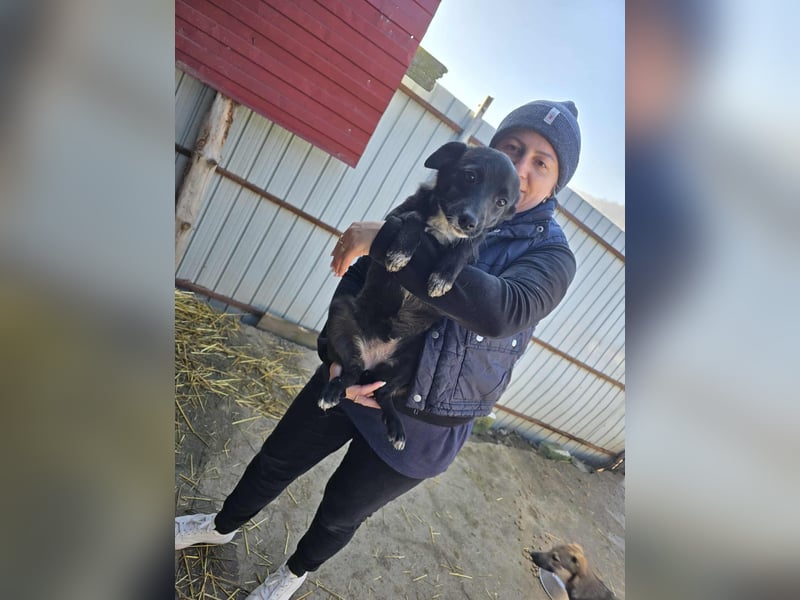 Ronya - süßer Schatz