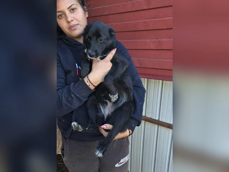 Ronya - süßer Schatz