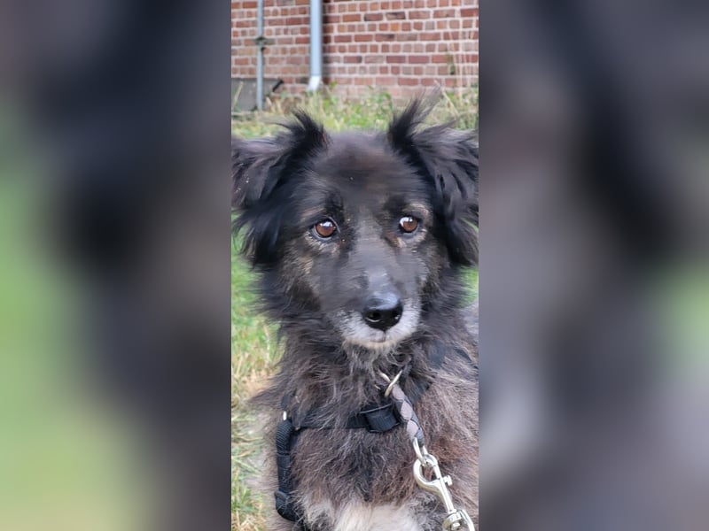 Charlotte - PLZ 31603