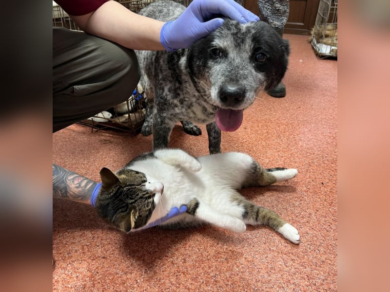 Kora - herzallerliebst❤️