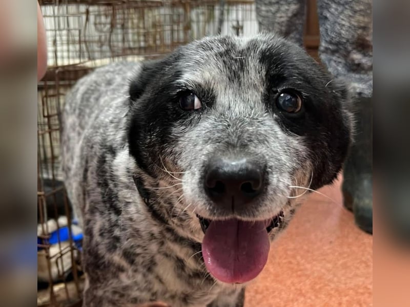 Kora - herzallerliebst❤️