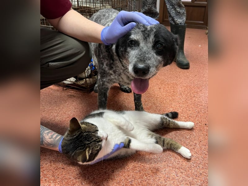 Kora - herzallerliebst❤️