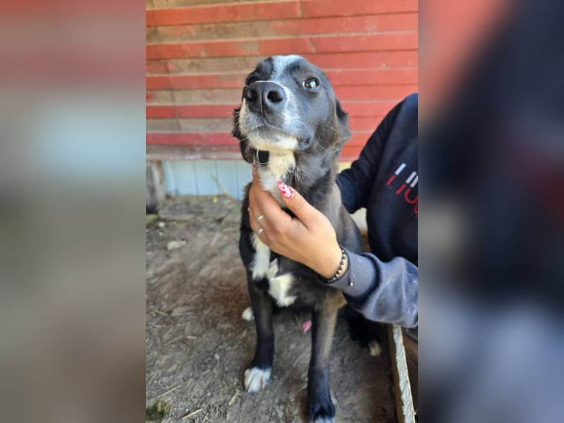 Maylo - sooo hübsch❤️