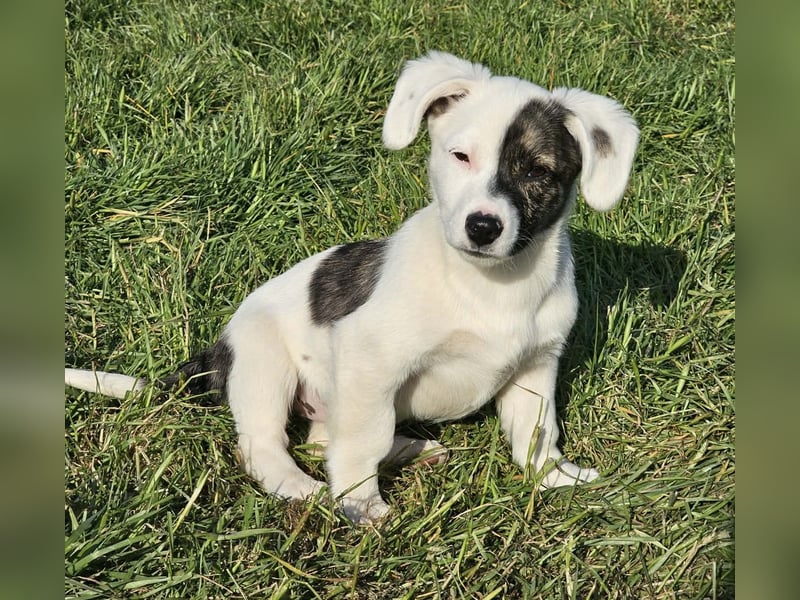 Nayeli - wartet irgendwo auch meine Familie?