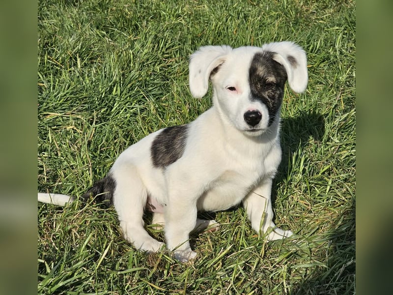 Nayeli - wartet irgendwo auch meine Familie?