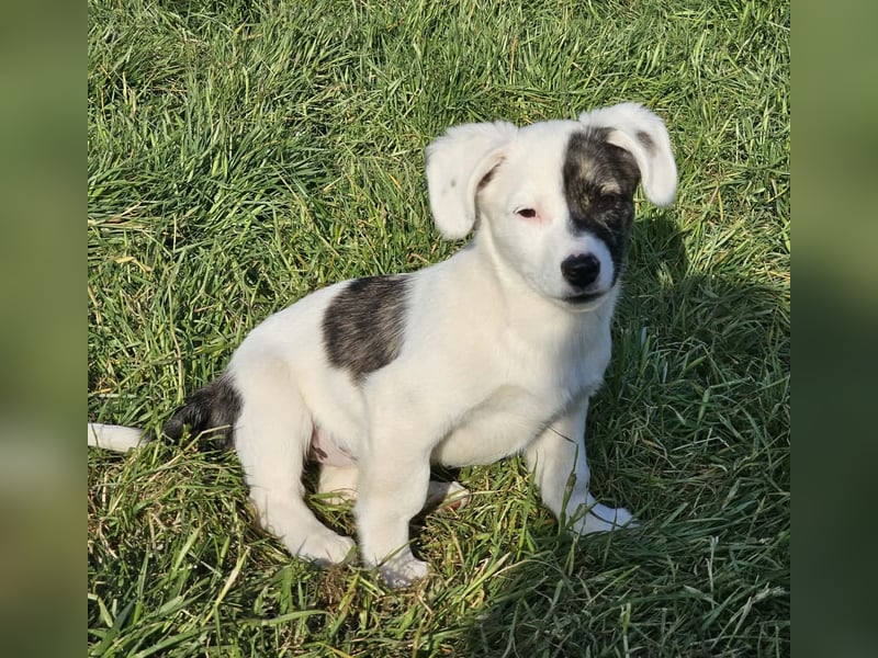 Nayeli - wartet irgendwo auch meine Familie?