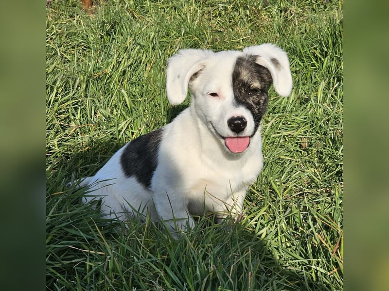 Nayeli - wartet irgendwo auch meine Familie?