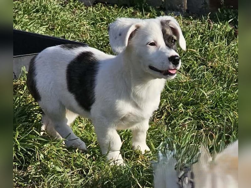 Nayeli - wartet irgendwo auch meine Familie?
