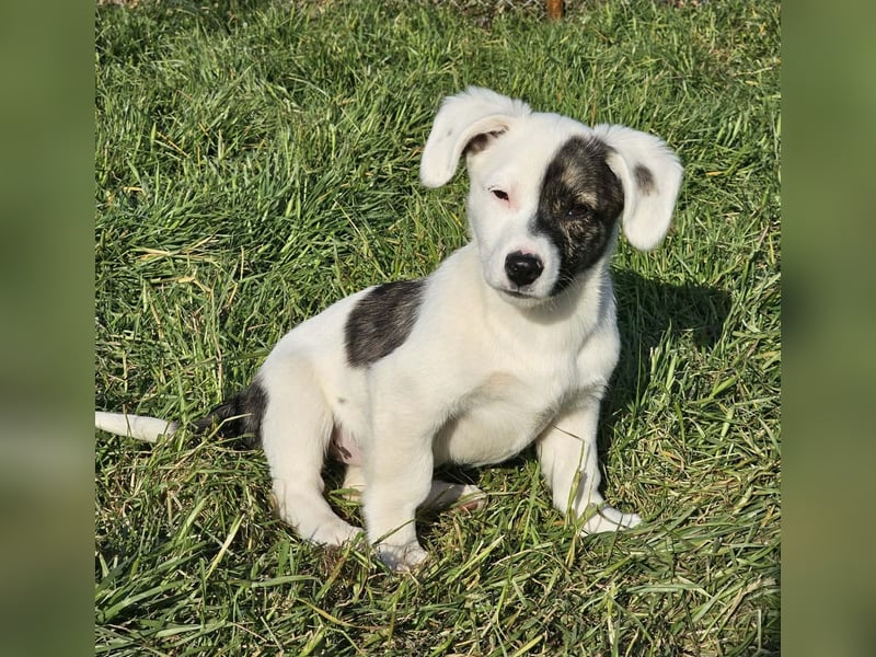 Nayeli - wartet irgendwo auch meine Familie?