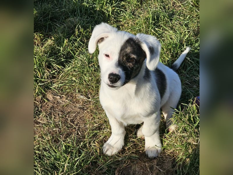 Nayeli - wartet irgendwo auch meine Familie?