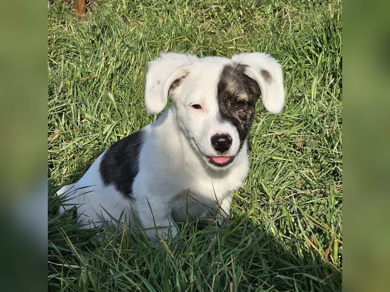 Nayeli - wartet irgendwo auch meine Familie?