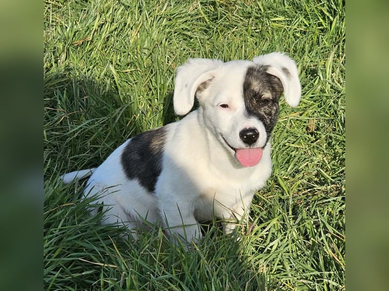 Nayeli - wartet irgendwo auch meine Familie?