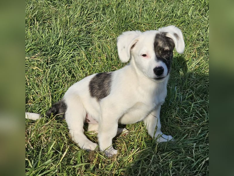 Nayeli - wartet irgendwo auch meine Familie?