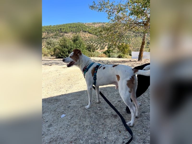 Rodri, ein wunderbarer Kumpel