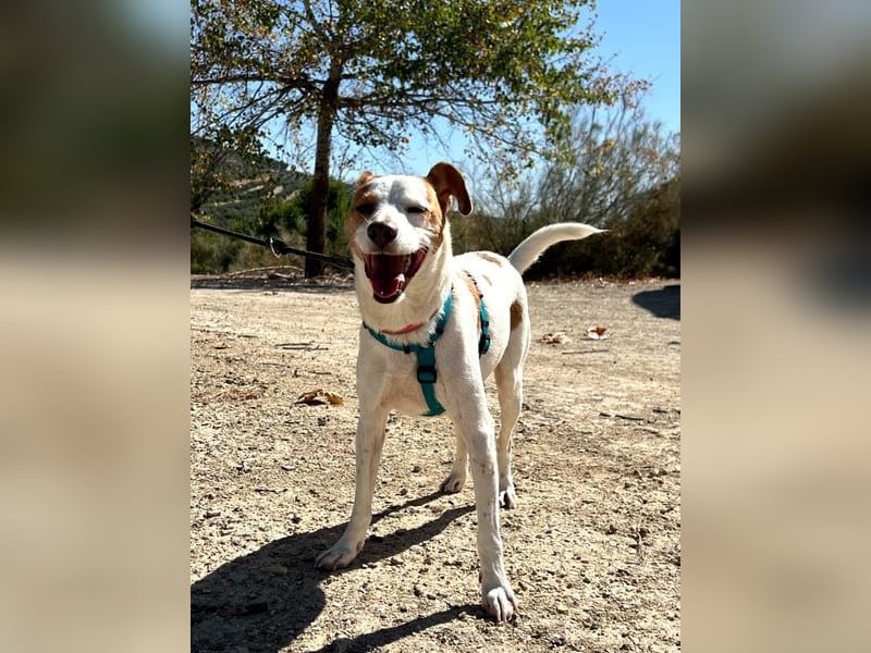 Rodri, ein wunderbarer Kumpel