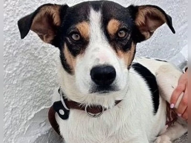 Aiko, hofft endlich gesehen zu werden