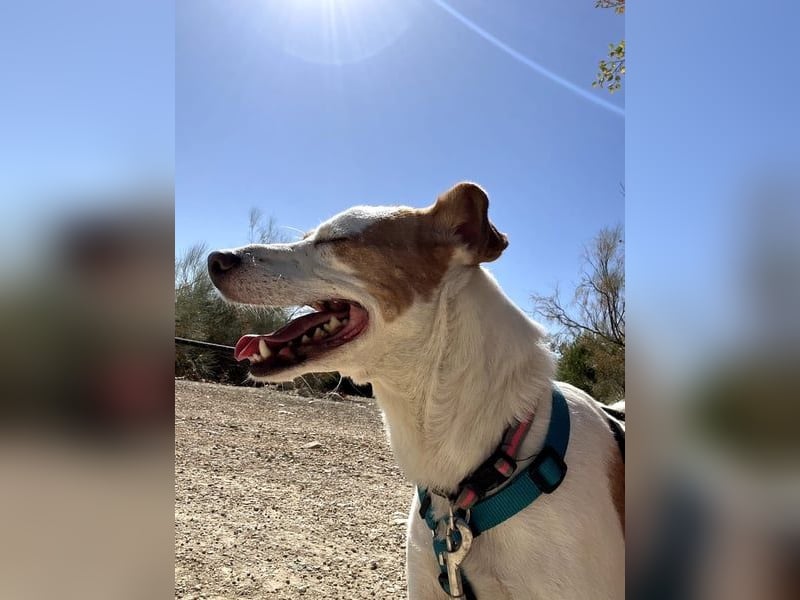 Rodri, ein wunderbarer Kumpel